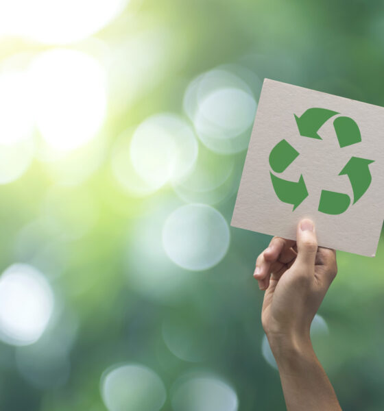 Hand holding recycle symbol on green bokeh background. eco and save the earth concept.